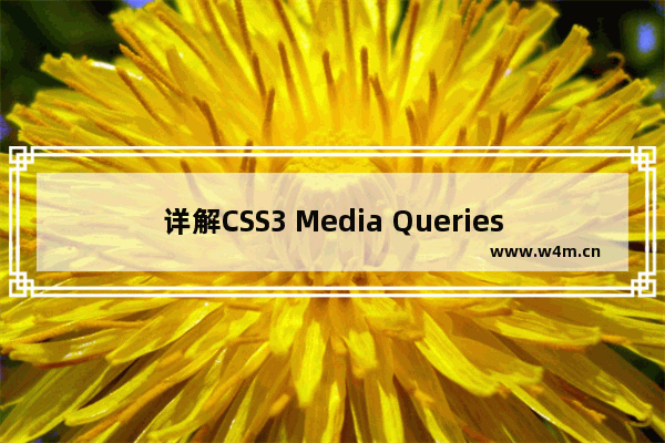 详解CSS3 Media Queries中媒体属性的使用