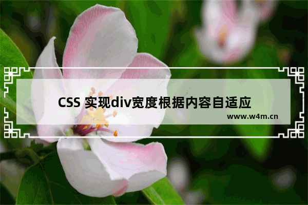 CSS 实现div宽度根据内容自适应