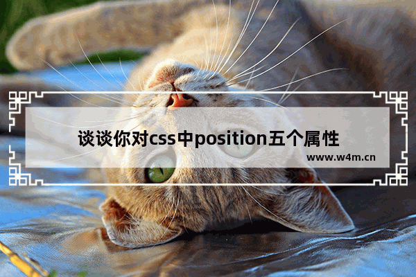 谈谈你对css中position五个属性的理解