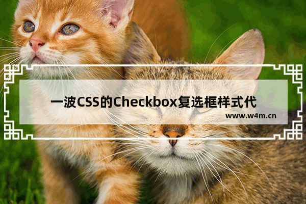 一波CSS的Checkbox复选框样式代码分享