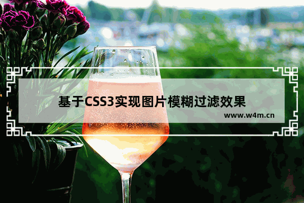 基于CSS3实现图片模糊过滤效果