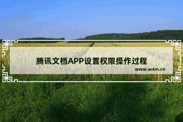 腾讯文档APP设置权限操作过程