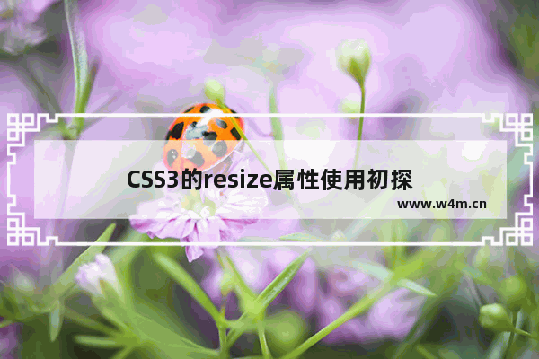 CSS3的resize属性使用初探