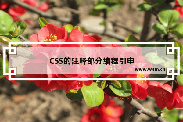 CSS的注释部分编程引申