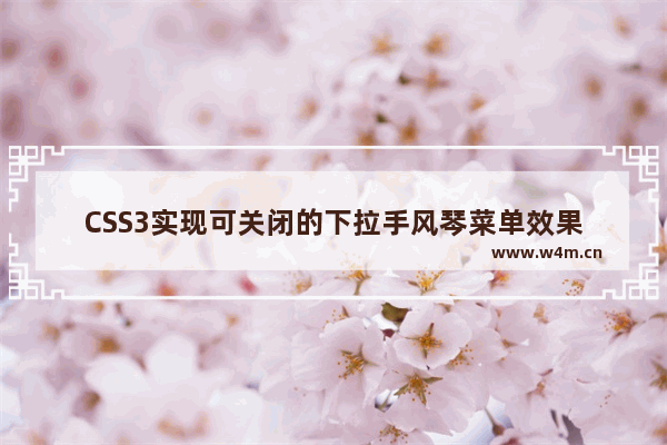 CSS3实现可关闭的下拉手风琴菜单效果