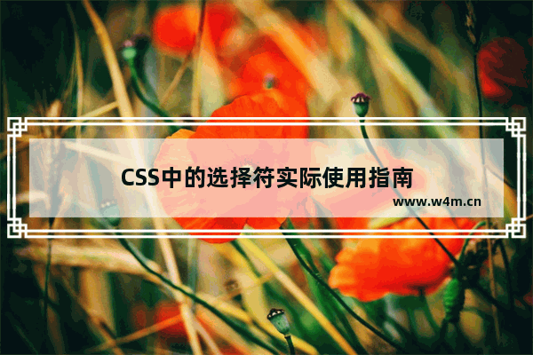 CSS中的选择符实际使用指南