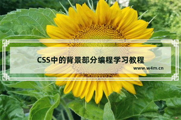 CSS中的背景部分编程学习教程