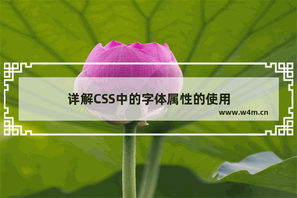 详解CSS中的字体属性的使用