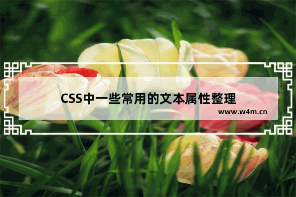 CSS中一些常用的文本属性整理