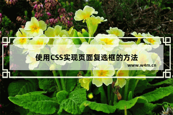 使用CSS实现页面复选框的方法