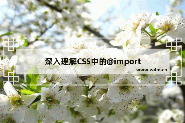 深入理解CSS中的@import