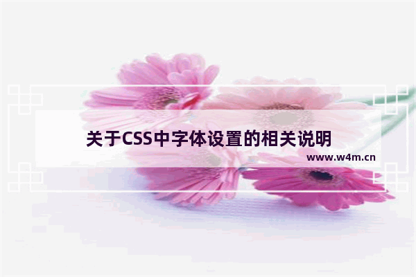 关于CSS中字体设置的相关说明