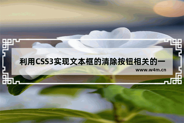 利用CSS3实现文本框的清除按钮相关的一些效果