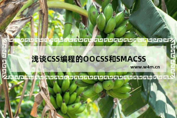 浅谈CSS编程的OOCSS和SMACSS设计模式