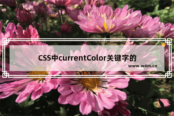 CSS中currentColor关键字的使用教程