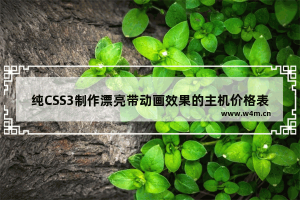 纯CSS3制作漂亮带动画效果的主机价格表