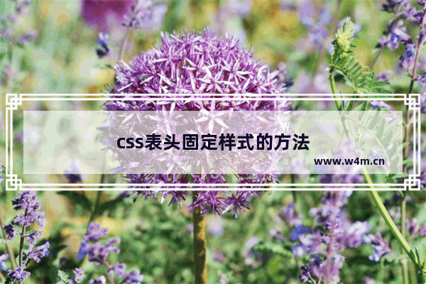 css表头固定样式的方法