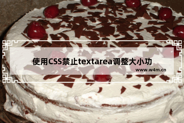 使用CSS禁止textarea调整大小功能的方法