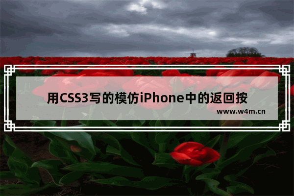 用CSS3写的模仿iPhone中的返回按钮