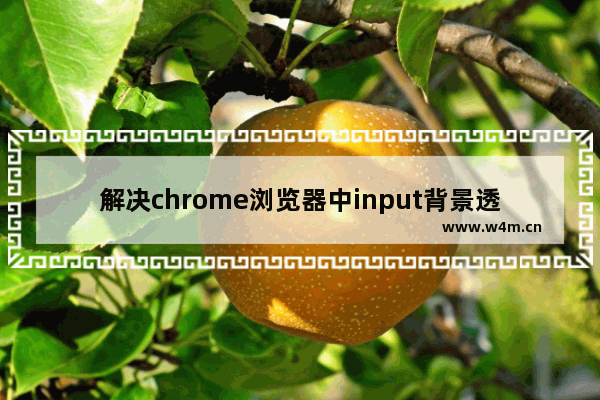 解决chrome浏览器中input背景透明问题