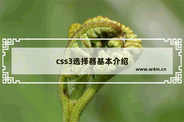 css3选择器基本介绍