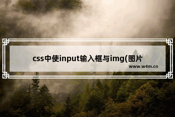 css中使input输入框与img(图片)在同一行居中对齐