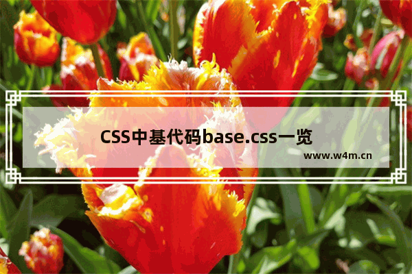 CSS中基代码base.css一览