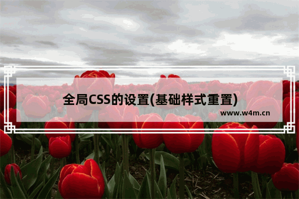 全局CSS的设置(基础样式重置)