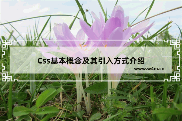 Css基本概念及其引入方式介绍