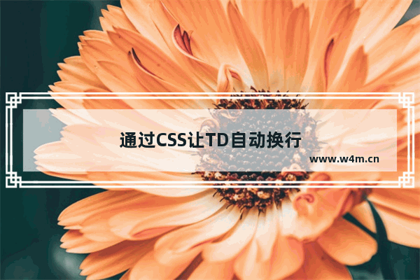 通过CSS让TD自动换行