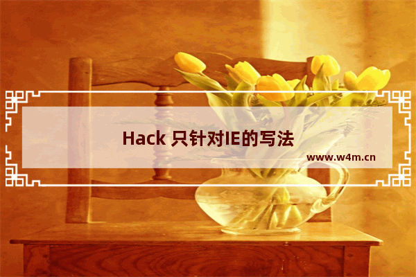 Hack 只针对IE的写法