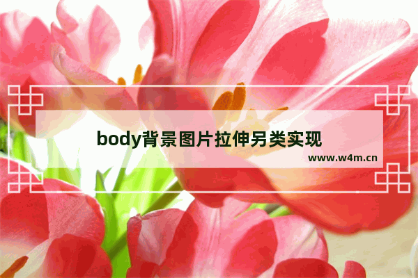 body背景图片拉伸另类实现