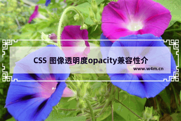 CSS 图像透明度opacity兼容性介绍