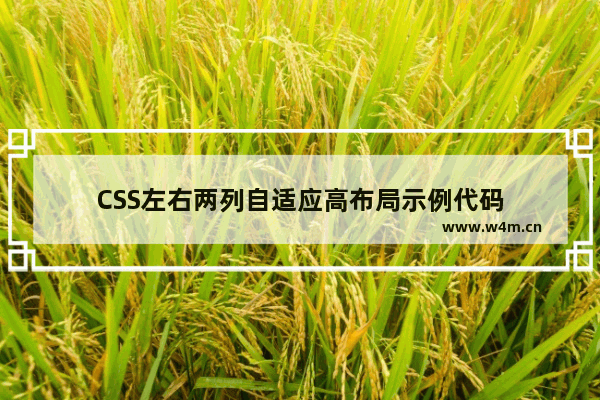 CSS左右两列自适应高布局示例代码