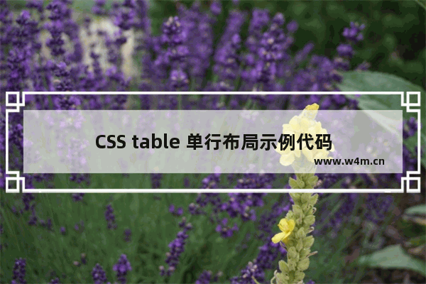 CSS table 单行布局示例代码