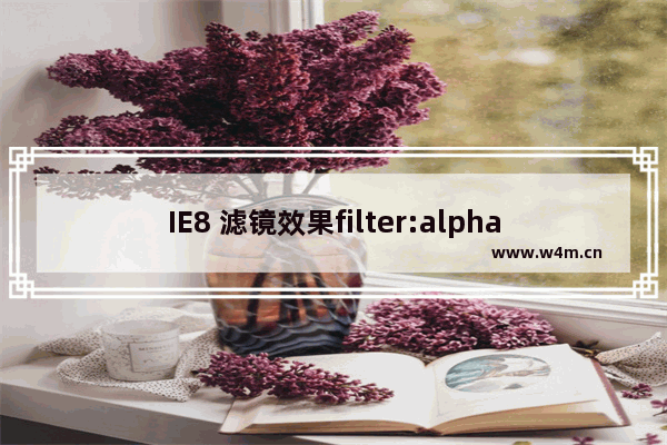 IE8 滤镜效果filter:alpha(opacity=20);IE下失效出现黑色