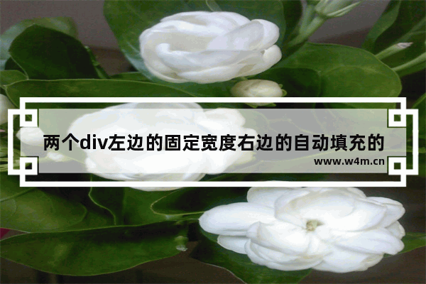 两个div左边的固定宽度右边的自动填充的css