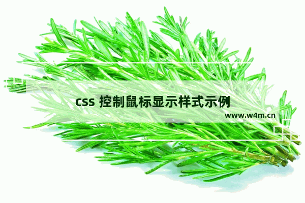 css 控制鼠标显示样式示例