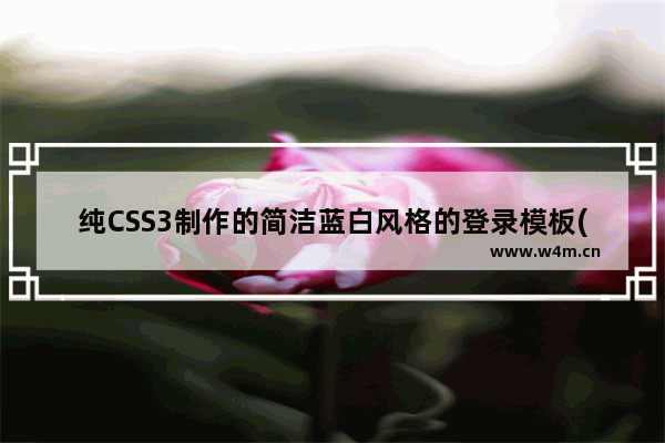 纯CSS3制作的简洁蓝白风格的登录模板(非IE效果更好)