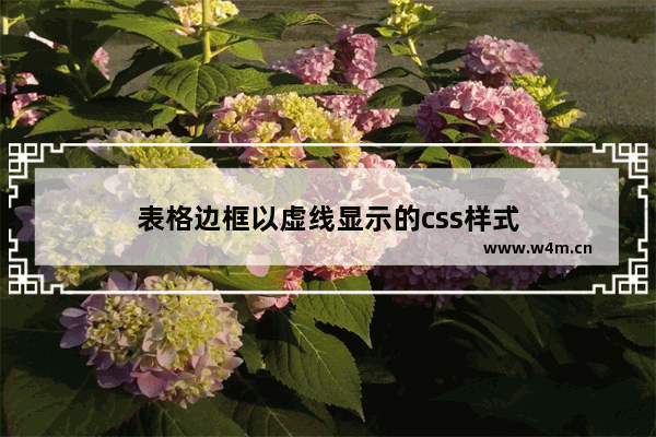 表格边框以虚线显示的css样式