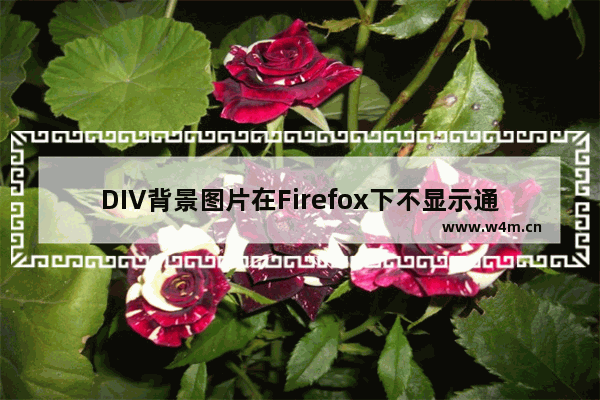 DIV背景图片在Firefox下不显示通过overflow:auto可解决