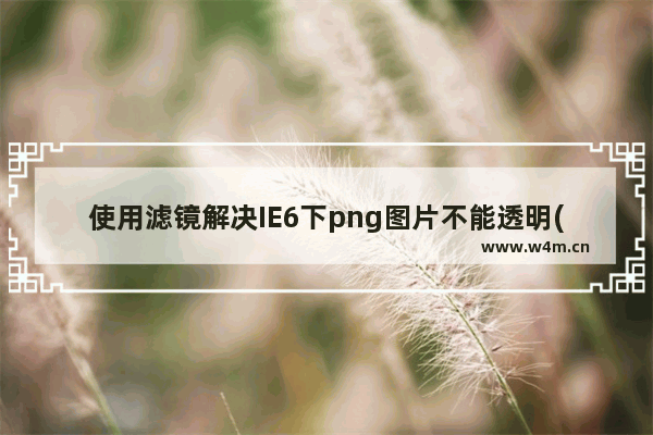 使用滤镜解决IE6下png图片不能透明(被渲染成默认色)的问题