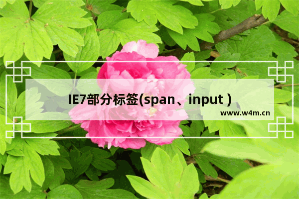 IE7部分标签(span、input )设置text-indent:-9999px后不在相应位置显示