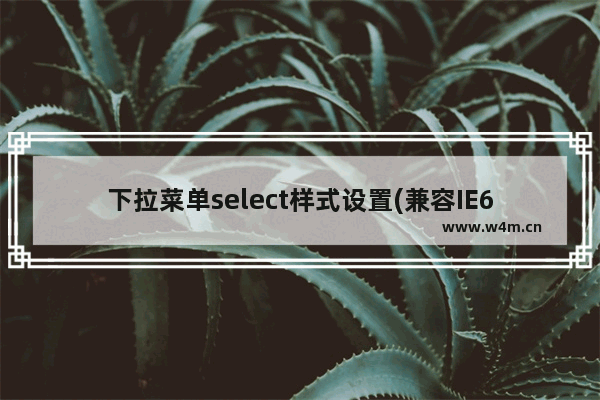 下拉菜单select样式设置(兼容IE6/IE7/IE8/火狐)