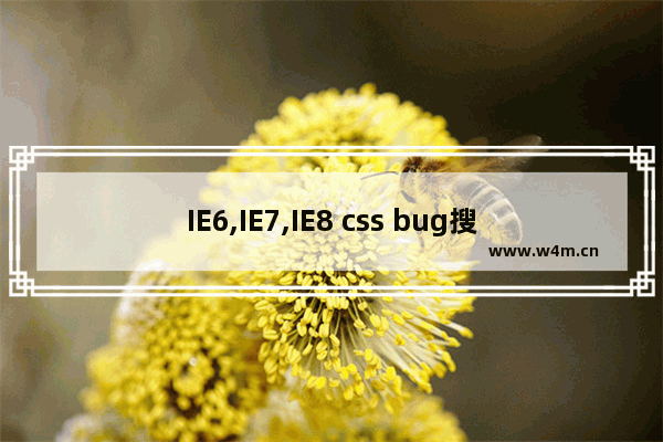 IE6,IE7,IE8 css bug搜集及浏览器兼容性问题解决方法汇总