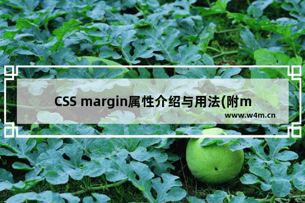 CSS margin属性介绍与用法(附margin解剖图)