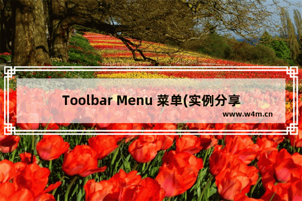 Toolbar Menu 菜单(实例分享)