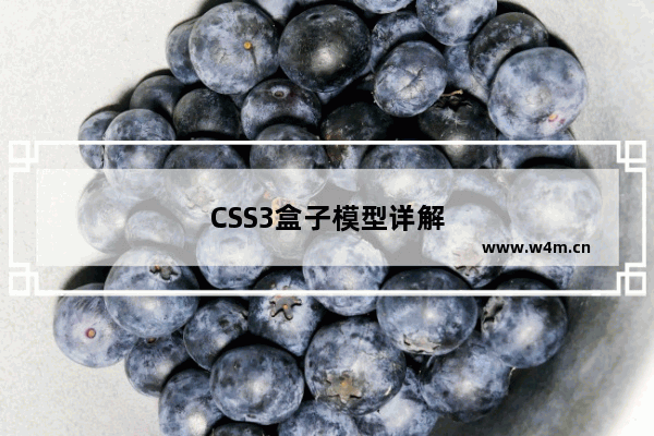 CSS3盒子模型详解