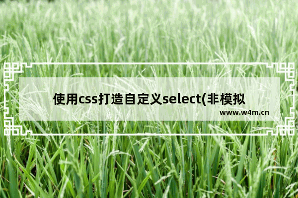 使用css打造自定义select(非模拟)实现原理及样式