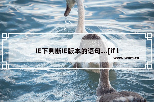 IE下判断IE版本的语句...[if lte IE 6]……[endif]兼容css解释